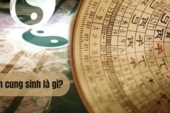 Làm sao để biết mình mệnh gì theo ngũ hành? Màu sắc và mệnh hợp với bạn?