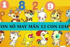 [Mới] Bật mí số may mắn 12 con giáp năm 2025 để tăng tài lộc