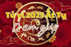 Xem tử vi 2025: Dự báo vận mệnh 12 con giáp trong năm mới