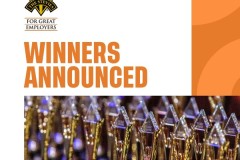 Công Bố Những Người Chiến Thắng Giải Thưởng Stevie® năm 2025 dành cho Nhà Tuyển Dụng Xuất Sắc