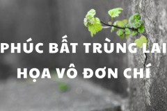 Phúc bất trùng lai họa vô đơn chí: Giải mã ý nghĩa & bài học cảnh tỉnh