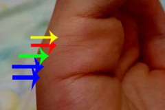 Đường chỉ tay hôn nhân biểu thị điều gì?