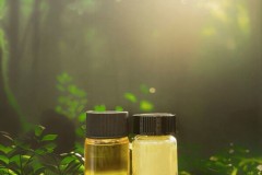 Terra Oleo ra mắt sau giai đoạn hoạt động kín với khoản đầu tư 3,1 triệu USD và được lựa chọn vào chương trình Đồng hành của Breakthrough Energy để tái định nghĩa chất béo và dầu