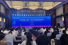 Xinhua Silk Road: Hợp tác khu vực được nhấn mạnh tại Hội nghị Hợp tác Ngành Y học Cổ truyền Trung Quốc (Bạc Châu) - RCEP