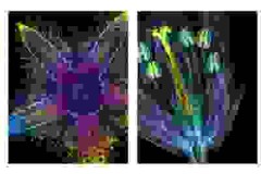 EVIDENT Launches Sixth Annual Image of the Year Contest