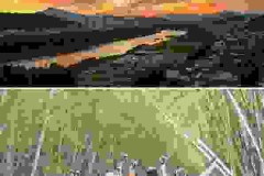 Màn trình diễn ấn tưởng trong mùa đông của đàn quạ trên bầu trời Công viên chim di cư Samho tại quận Nam-gu, Ulsan