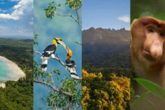 Club Med Borneo chính thức mở đặt chỗ cho điểm đến nghỉ dưỡng rực rỡ nắng vàng tại Kota Kinabalu, Malaysia