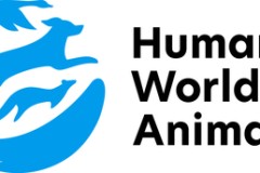 Indonesia khởi động chương trình tìm kiếm sinh kế thay thế cho những người buôn bán thịt chó nhằm chấm dứt nạn buôn bán này