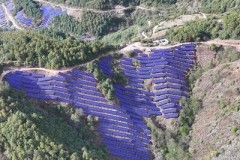 Risen Energy giành được đơn hàng mô-đun HJT 1,2GW từ China Huaneng Group, khẳng định vị thế dẫn đầu ngành