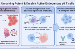 Laguna Announces FDA Clearance of IND Application for LGNA-100, a Novel γδ T Cell Activator for High-Risk Pediatric Leukemias