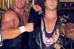Report About the 1993 WWE Survivor Series Published by Pardu Productions