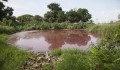Kinh hoàng hồ máu ở Mexico kích thích 300 cá sấu