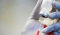 Australia: Phát hiện đột phá mang đến hy vọng chữa khỏi bệnh sốt rét