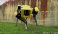 Robot SpotMini ra mắt phiên bản mới: nhỏ gọn và giống chó hơn