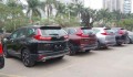 Lượng Honda CR-V, Civic nhập khẩu đột ngột giảm mạnh