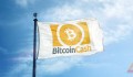Những “ông trùm” trong Bitcoin Cash mining pool chấp nhận các giao dịch miễn phí