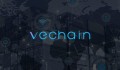 VeChain đang “bay” trong giai đoạn ra mắt MainNet!