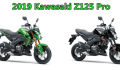 Kawasaki Z125 Pro 2019 ra mắt với phiên bản tem mới đầy cá tính