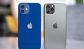 Apple tăng cường sản xuất iPhone 12 vì bán quá chạy