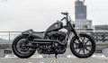 Harley-Davidson Sportster độ lôi cuốn đến từ Rough Crafts
