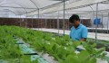Bắc Giang: Ứng dụng hiệu quả công nghệ số phát triển nông nghiệp
