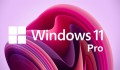 Hướng dẫn cách nâng cấp Windows 11 Home lên Windows 11 Pro