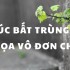 Phúc bất trùng lai họa vô đơn chí: Giải mã ý nghĩa & bài học cảnh tỉnh