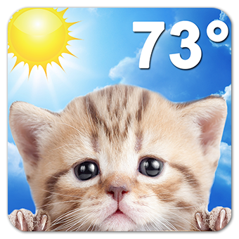 Ứng dụng dự báo thời tiết Weather Kitty cực cute