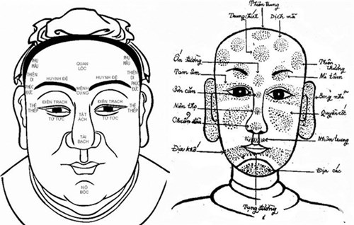 Nhìn hình dáng mũi, đoán khả năng "yêu" của cánh mày râu