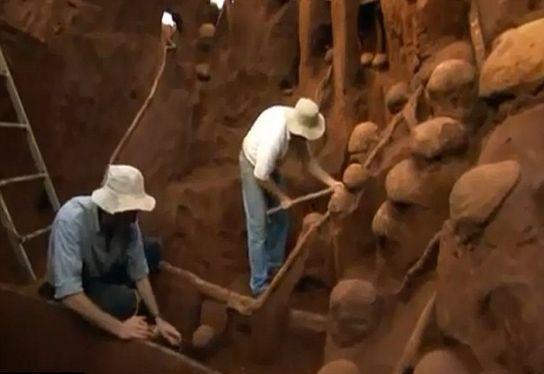 Phát hiện tổ kiến sâu 8m, như 1 thành phố ngầm, kết cấu phức tạp tinh xảo khó tin