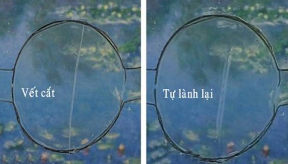 Vết cắt trên chất liệu mới tự liền sau một thời gian ngắn