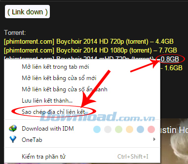 Cách tải file Torrent bằng Internet Download Manager(IDM )