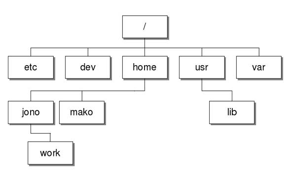 8 khác biệt chính giữa Windows và Linux