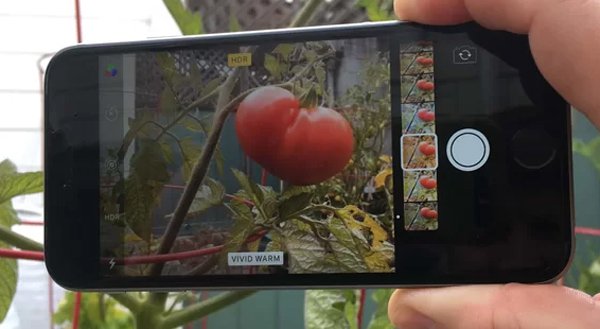 Những thủ thuật hiệu quả khai thác tính năng trên Camera iOS 11