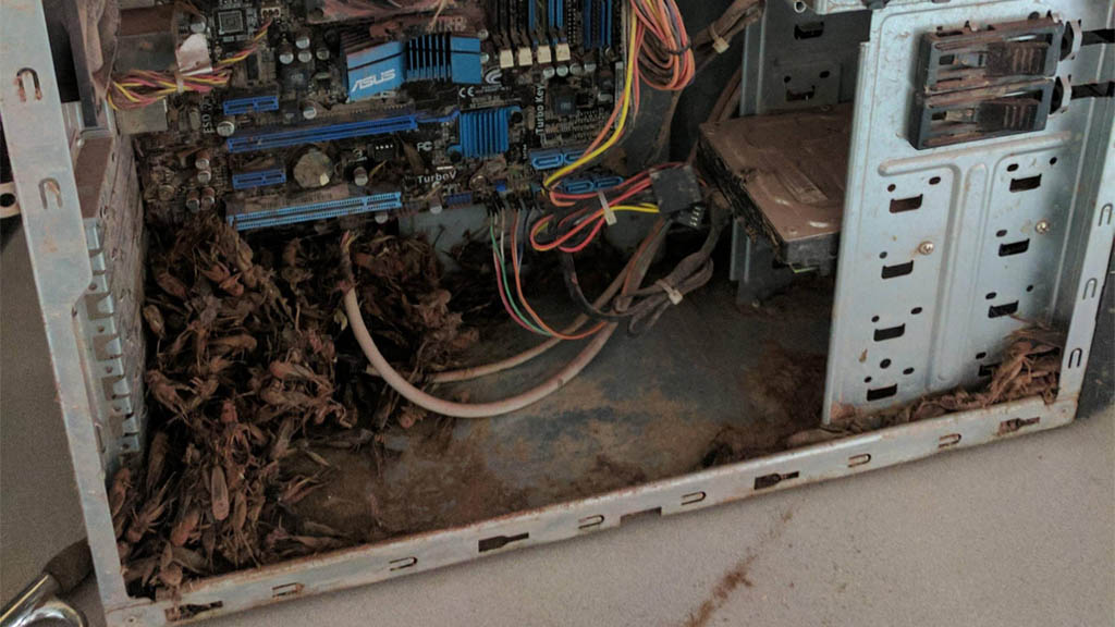 [Giải trí] Chùm ảnh "kinh dị" về công nghệ có thể khiến bạn ám ảnh trong đêm Halloween