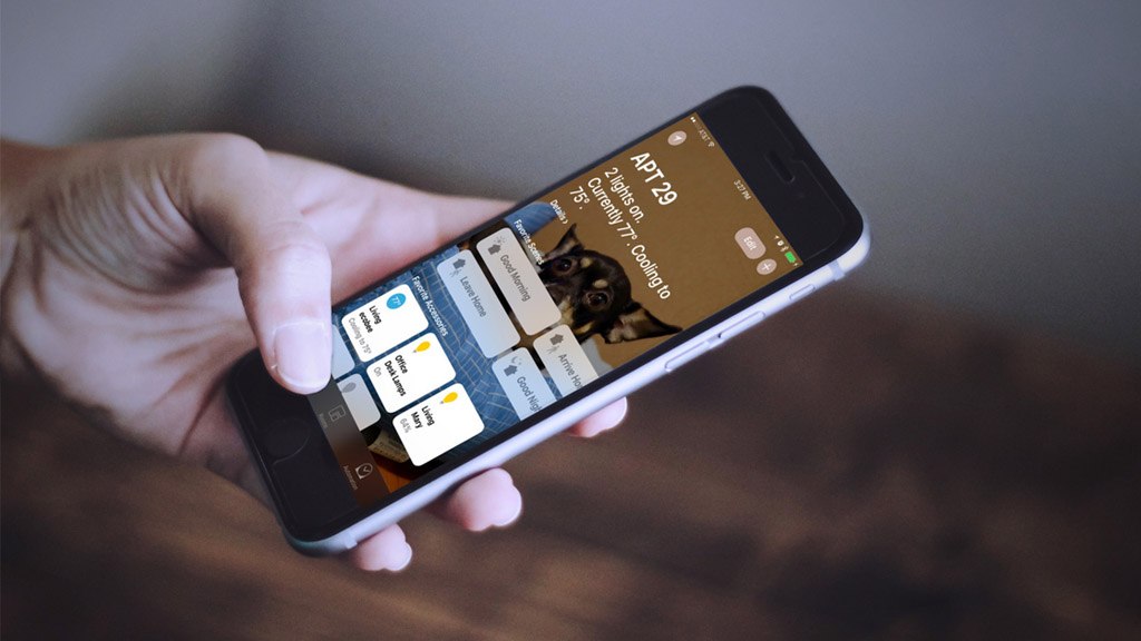 [iOS/Android] Top 11 ứng dụng cung cấp hình nền miễn phí tốt nhất