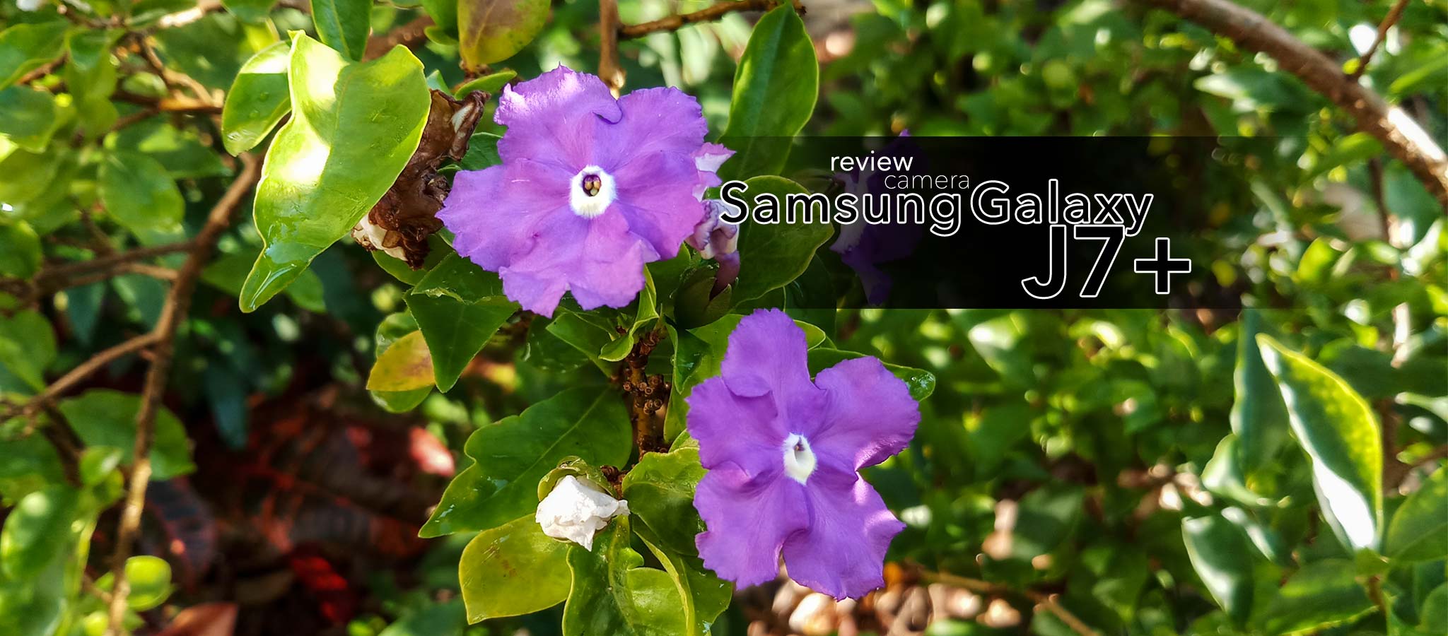 Review camera Samsung Galaxy J7+: chất lượng ảnh, chi tiết và màu sắc khá [HOT]