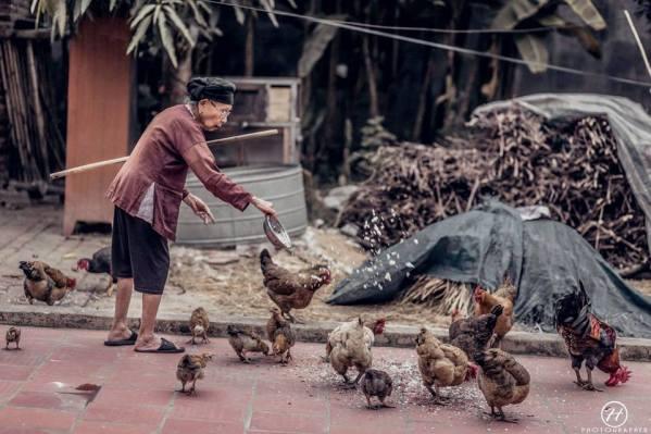 Bà ngoại tôi: Qua những đoạn đời đầy chông gai và thử thách, quê ngoại là  chốn ta về quên hết nhọc mệt đắng cay » Trang Công Nghệ | Trangcongnghe.vn