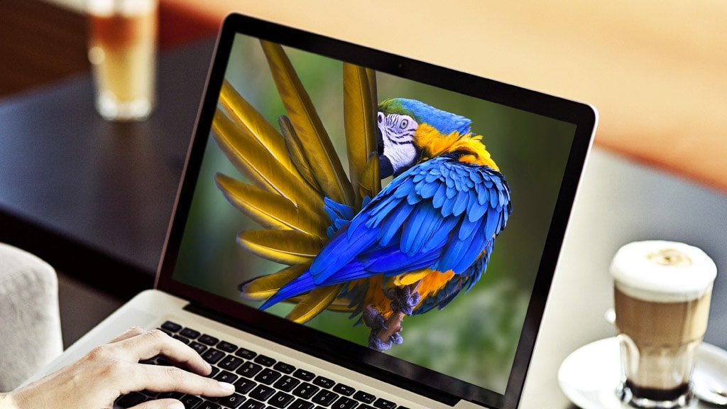 [PC/Smartphone] Chia sẻ bộ ảnh nền chất lượng cao của Microsoft về Bing và Windows Spotlight