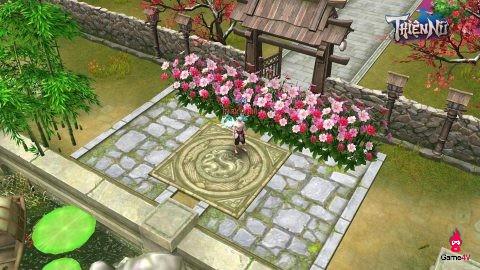 Cộng đồng Thiện Nữ Mobile xôn xao trước thực hư chuyện hack phẩm chất cây ?