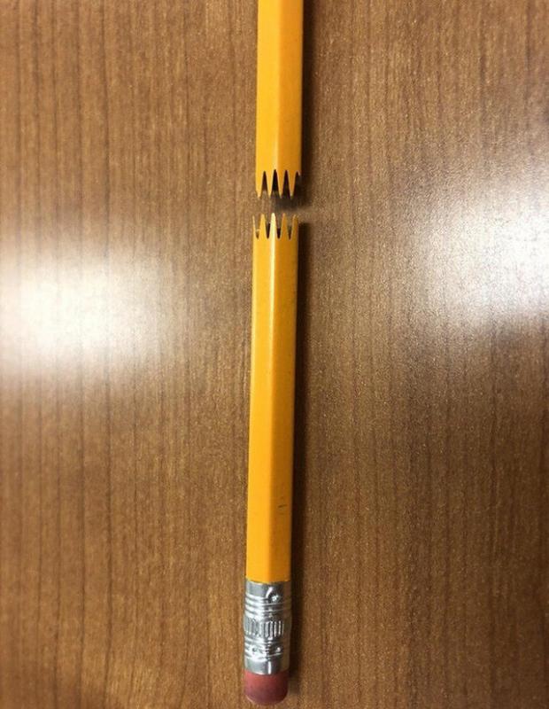 25 khoảnh khắc khiến bạn nhận ra rằng thế giới này còn có rất nhiều điều kì diệu