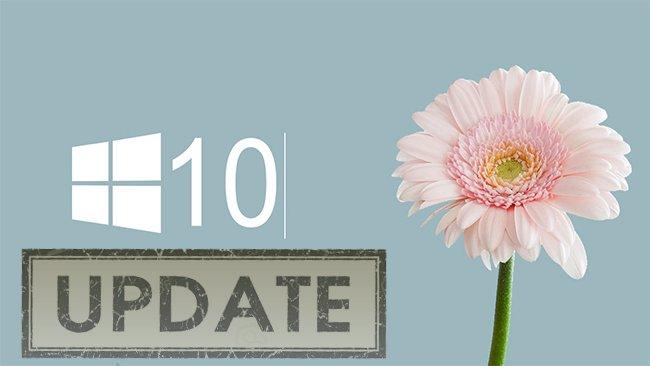 Hướng dẫn vô hiệu hóa cập nhật Windows 10 trên máy tính