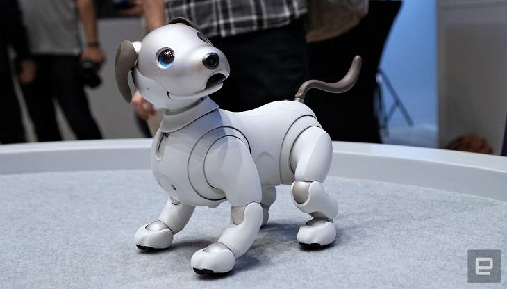 [IFA 2018] Sony gây chú ý khi đưa chú chó robot AIBO thế hệ mới đến ra mắt