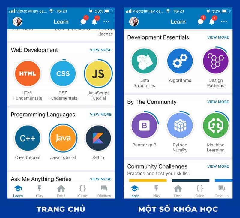 Trang chủ và các khóa học của SoloLearn