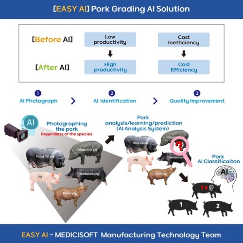 EASY AI giới thiệu công nghệ phân loại thịt lợn AI đối với tất cả các giống lợn