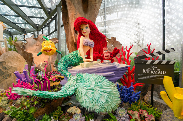 DISNEY GARDEN OF WONDER CHÍNH THỨC MỞ CỬA TẠI GARDENS BY THE BAY, SINGAPORE