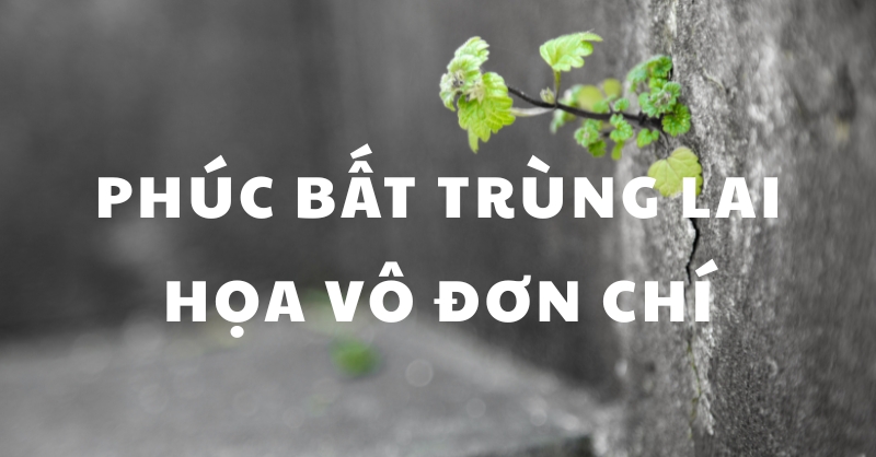 Phúc bất trùng lai họa vô đơn chí: Giải mã ý nghĩa & bài học cảnh tỉnh