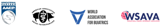The hidden impact of veterinary care: new insights from a global survey of veterinarians