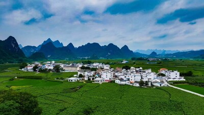 Xinhua Silk Road: "AI + lụa tơ tằm" mở ra con đường thịnh vượng mới tại Quảng Tây, miền nam Trung Quốc