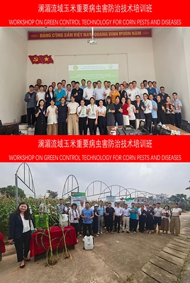 CCTV+: Hội thảo về Công nghệ phòng trừ xanh sâu bệnh hại ngô tại lưu vực sông Lan Thương - Mê Kông được tổ chức thành công tại Hà Nội, Việt Nam